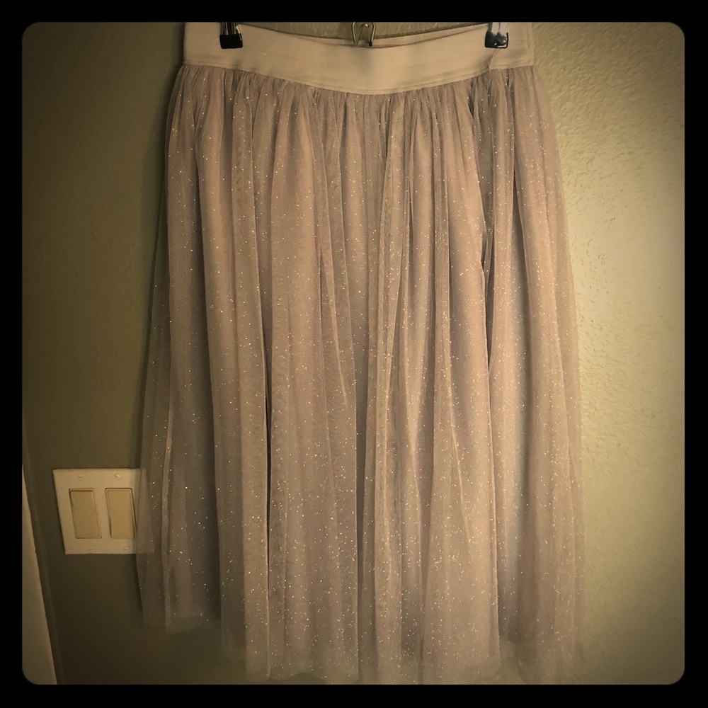 Princess Sparkly Skirt